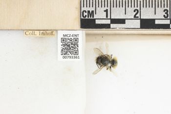 Media type: image;   Entomology 793361 Aspect: Labels